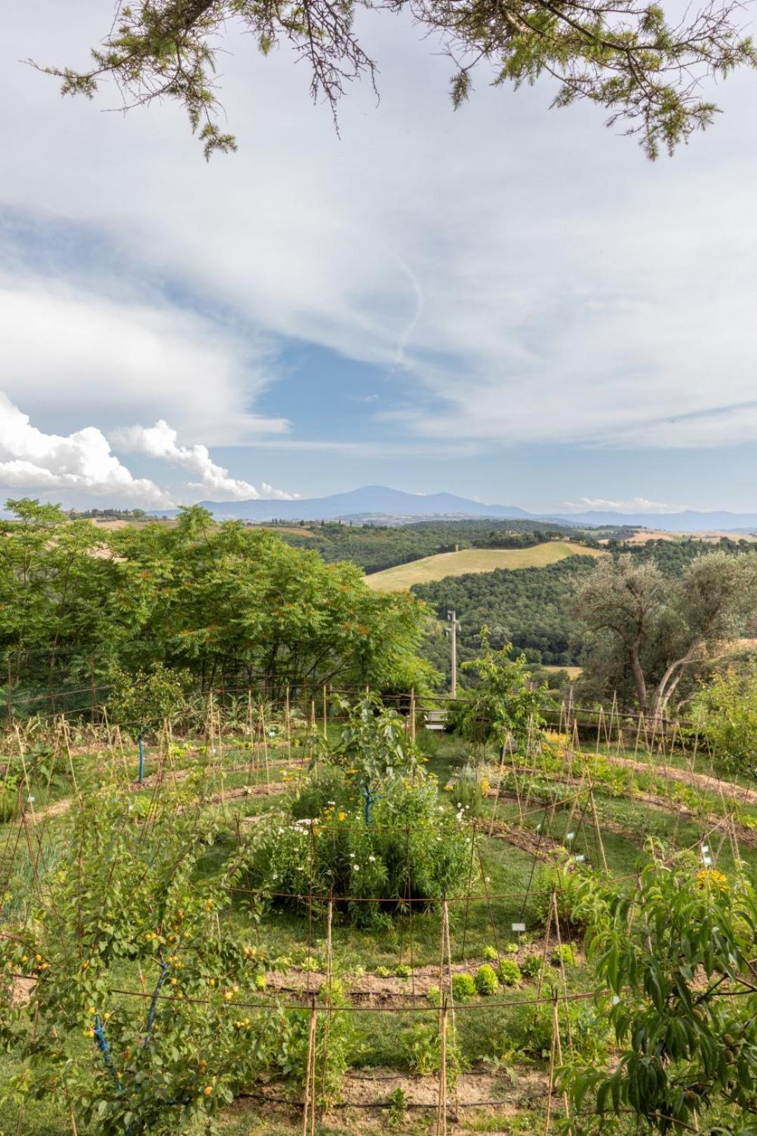 Apartment Borgo D'asso *